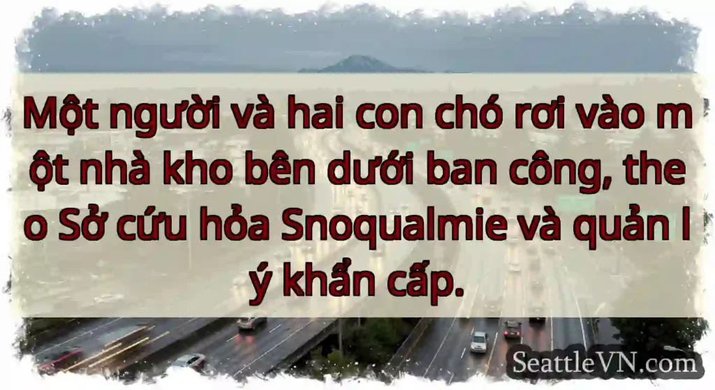 Một người và hai con chó rơi vào một nhà kho bên