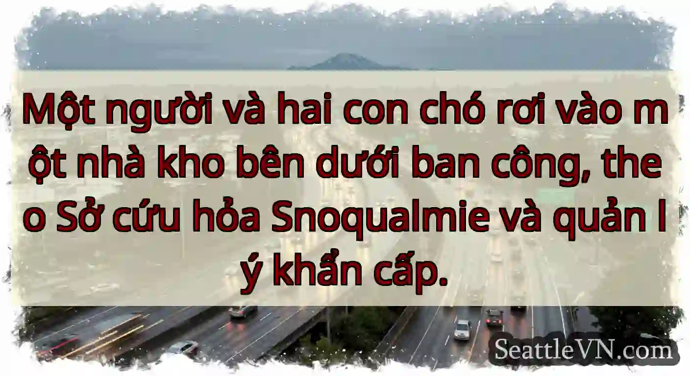Một người và hai con chó rơi vào một nhà kho bên