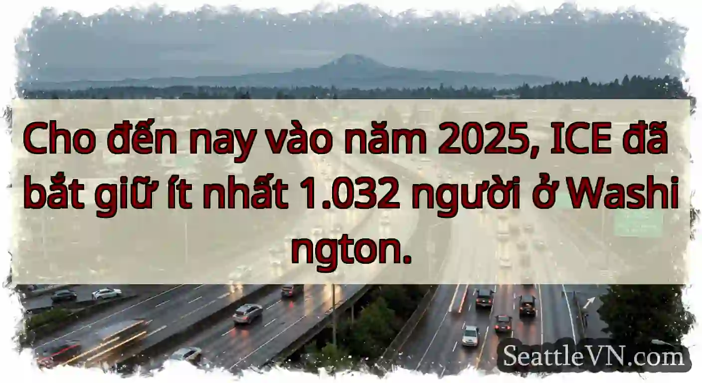 Cho đến nay vào năm 2025, ICE đã bắt giữ ít nhất