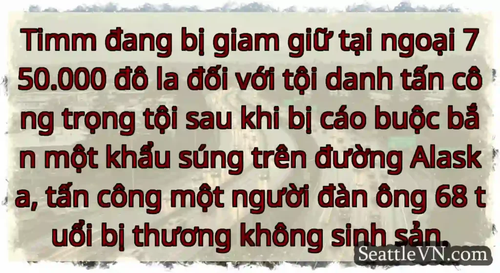 Timm đang bị giam giữ tại ngoại 750.000 đô la đối