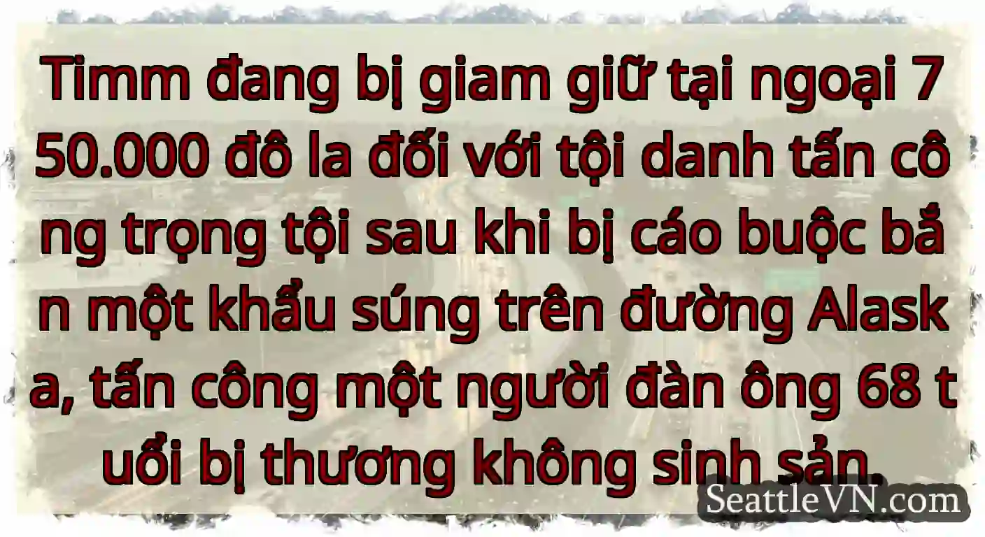 Timm đang bị giam giữ tại ngoại 750.000 đô la đối