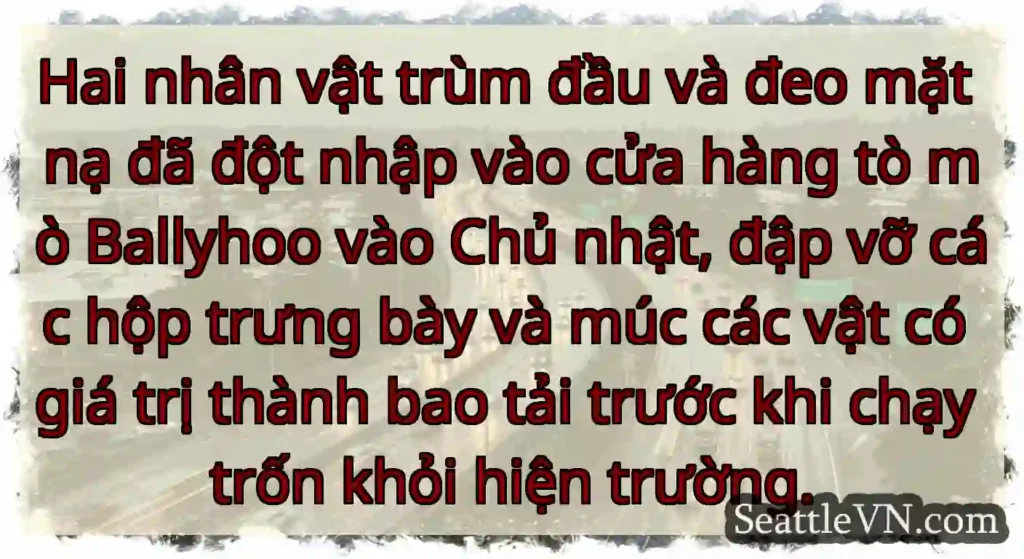 Hai nhân vật trùm đầu và đeo mặt nạ đã đột nhập