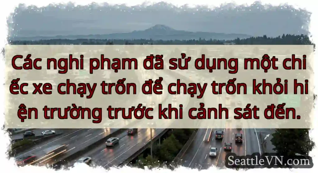 Các nghi phạm đã sử dụng một chiếc xe chạy trốn