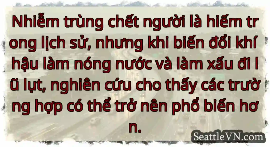 Nhiễm trùng chết người là hiếm trong lịch sử,