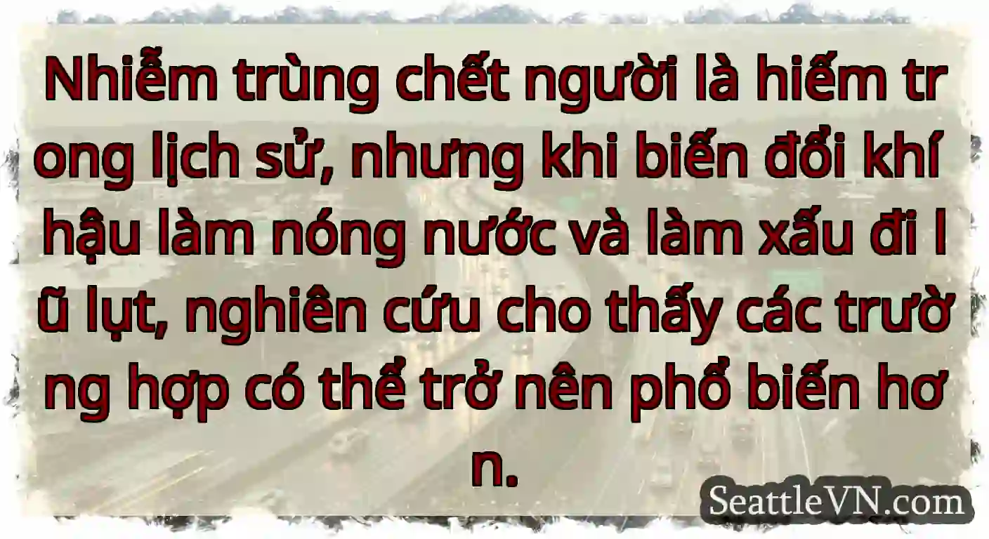 Nhiễm trùng chết người là hiếm trong lịch sử,