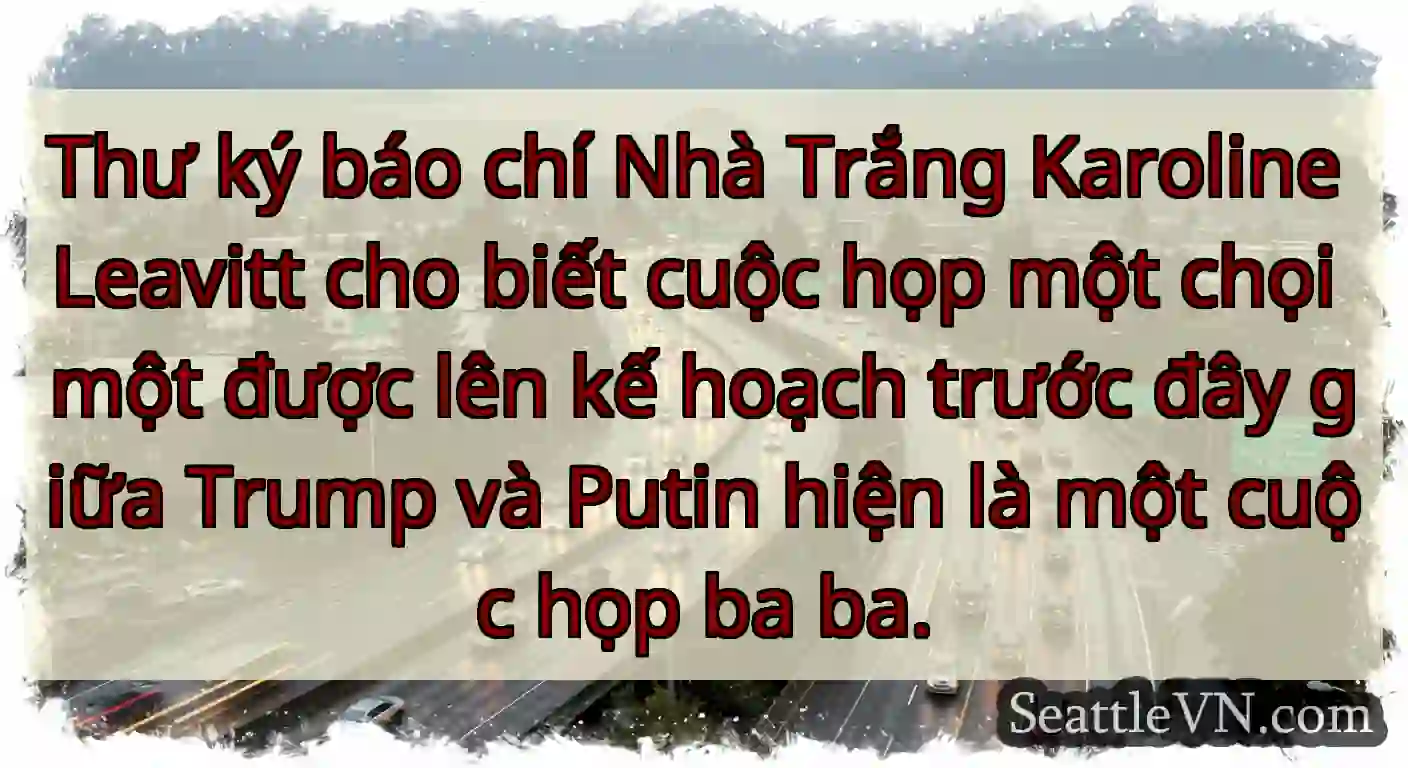 Thư ký báo chí Nhà Trắng Karoline Leavitt cho