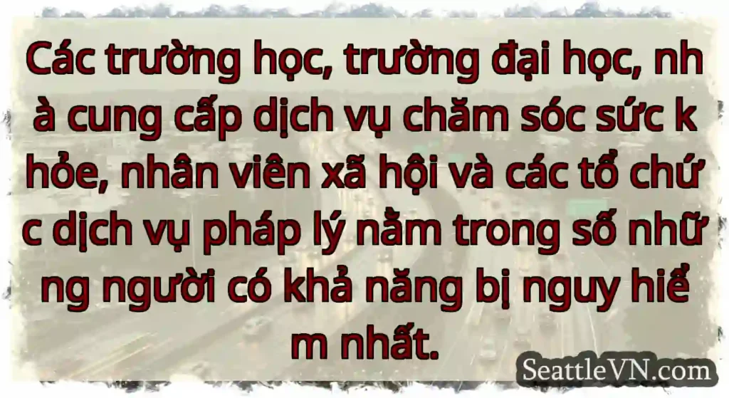 Các trường học, trường đại học, nhà cung cấp dịch