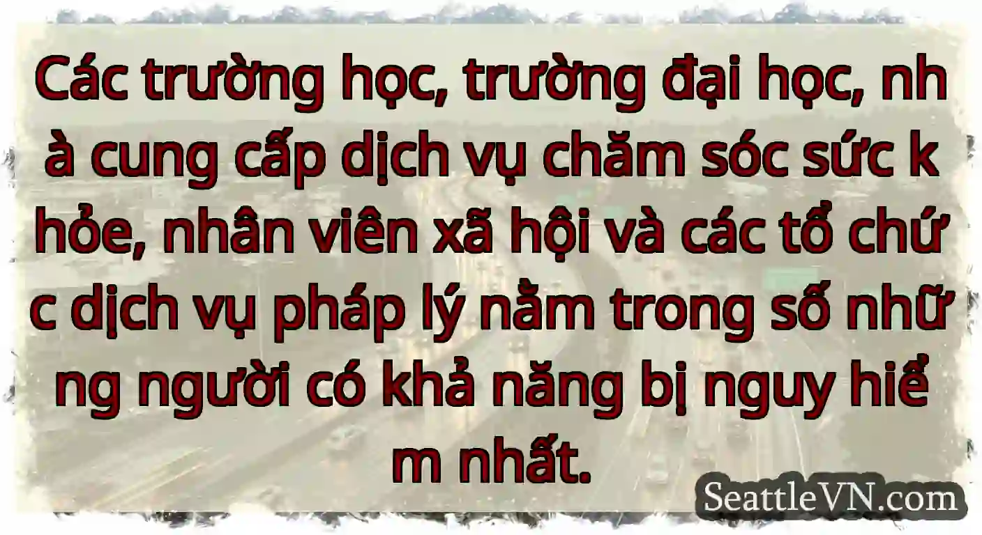 Các trường học, trường đại học, nhà cung cấp dịch