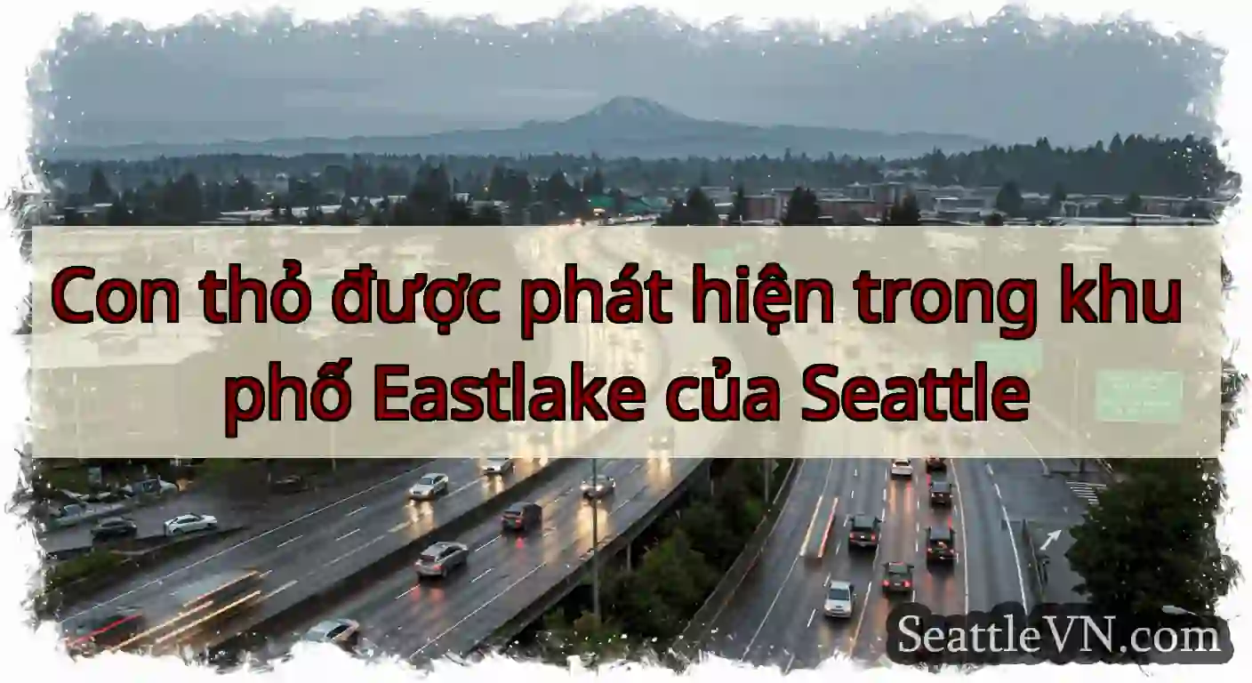 Con thỏ được phát hiện trong khu phố Eastlake của