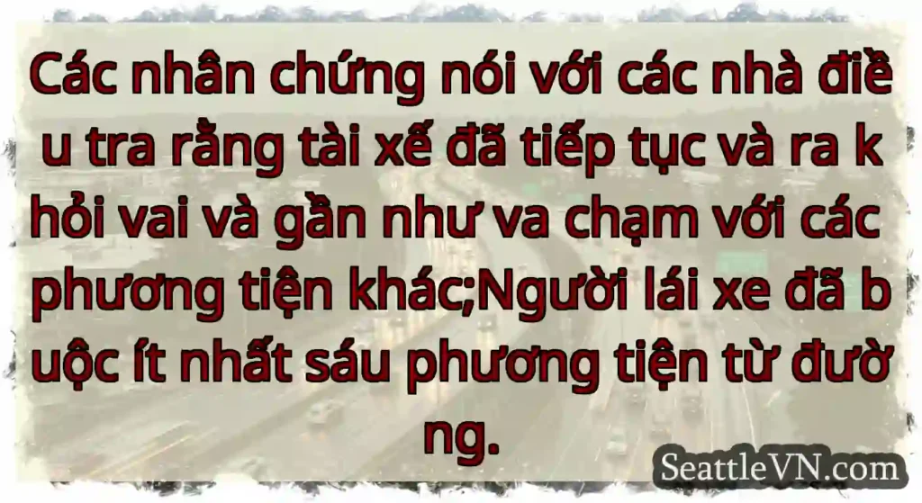 Các nhân chứng nói với các nhà điều tra rằng tài