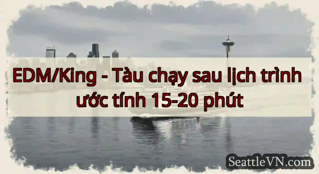 EDM/King - Tàu chạy sau lịch trình ước tính 15-20