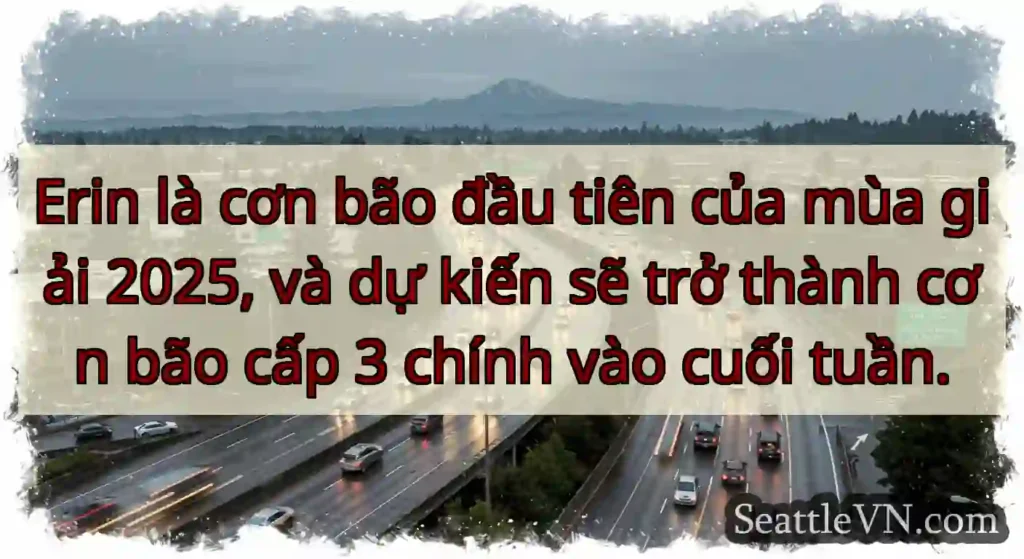 Erin là cơn bão đầu tiên của mùa giải 2025, và dự
