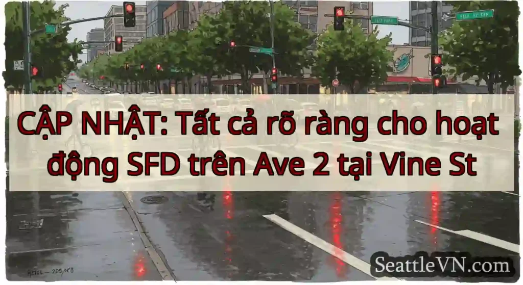 CẬP NHẬT: Tất cả rõ ràng cho hoạt động SFD trên