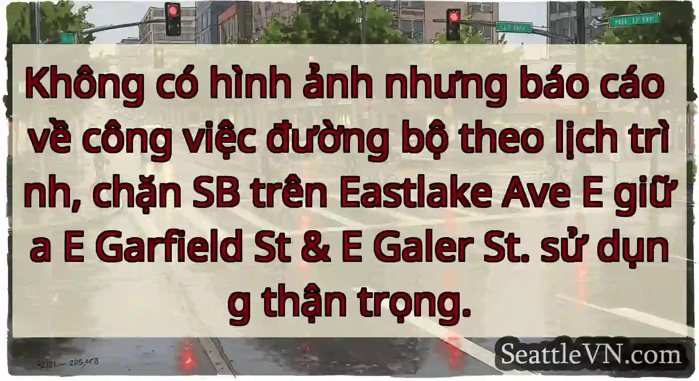 Không có hình ảnh nhưng báo cáo về công việc