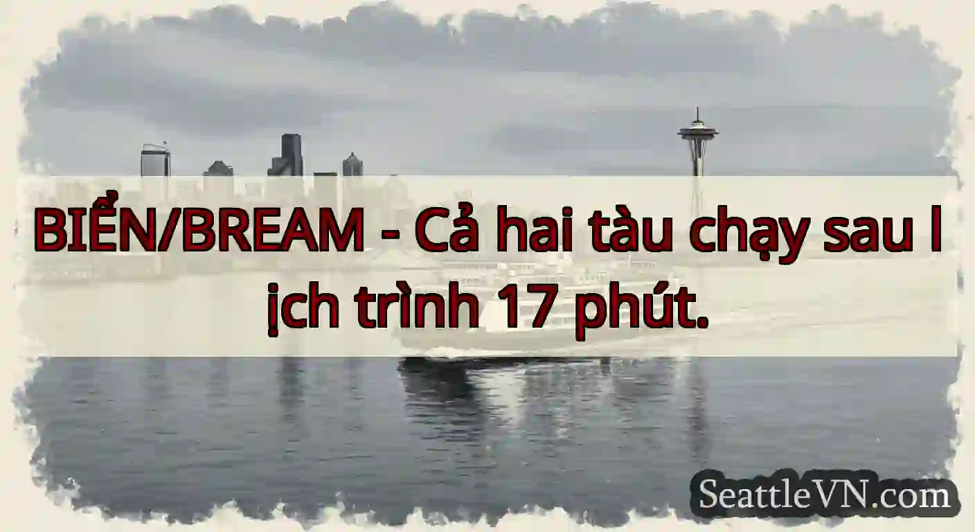 BIỂN/BREAM - Cả hai tàu chạy sau lịch trình 17