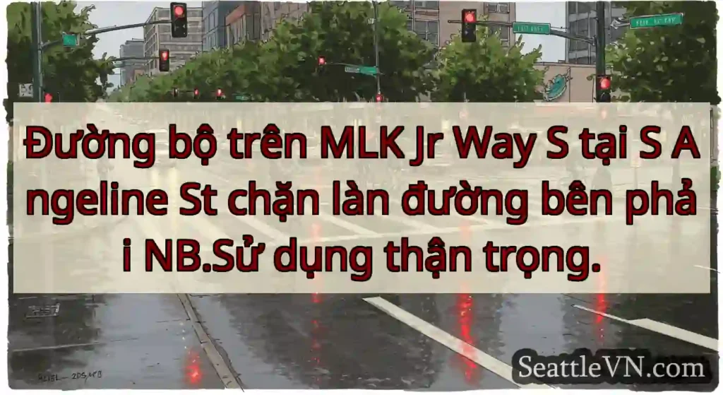 Đường bộ trên MLK Jr Way S tại S Angeline St chặn