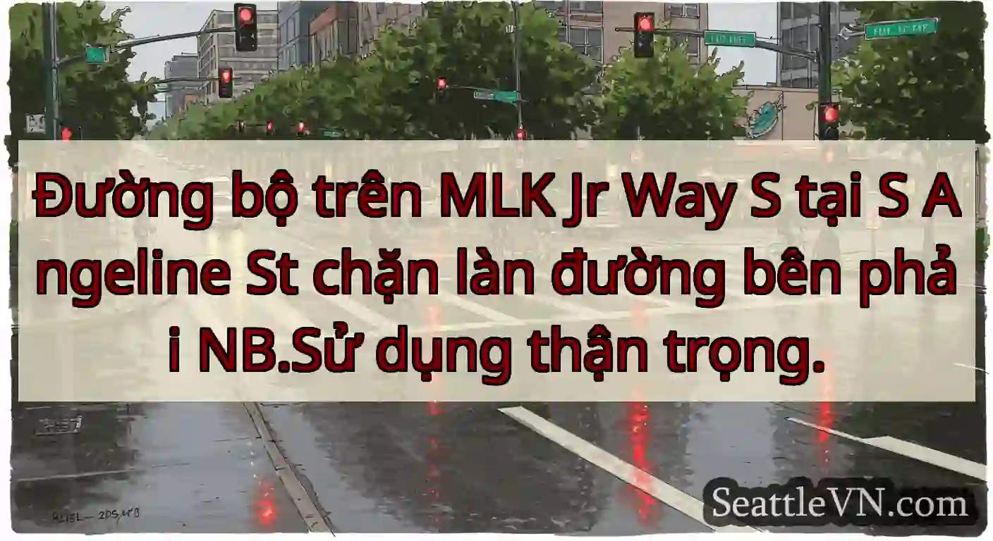 Đường bộ trên MLK Jr Way S tại S Angeline St chặn