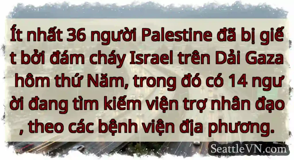 Ít nhất 36 người Palestine đã bị giết bởi đám