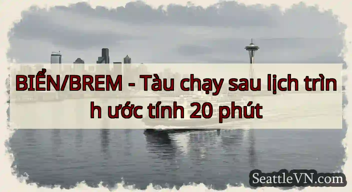 BIỂN/BREM - Tàu chạy sau lịch trình ước tính 20