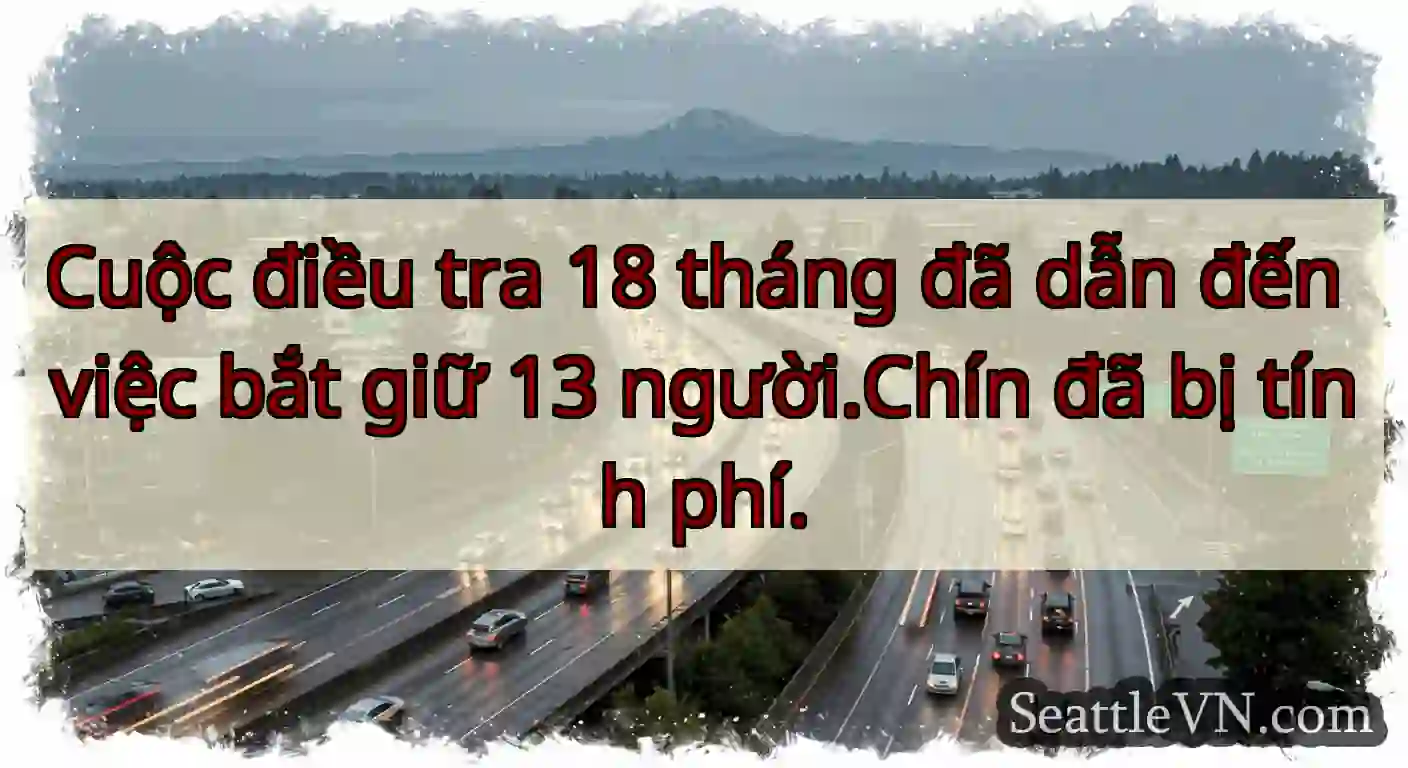Cuộc điều tra 18 tháng đã dẫn đến việc bắt giữ 13