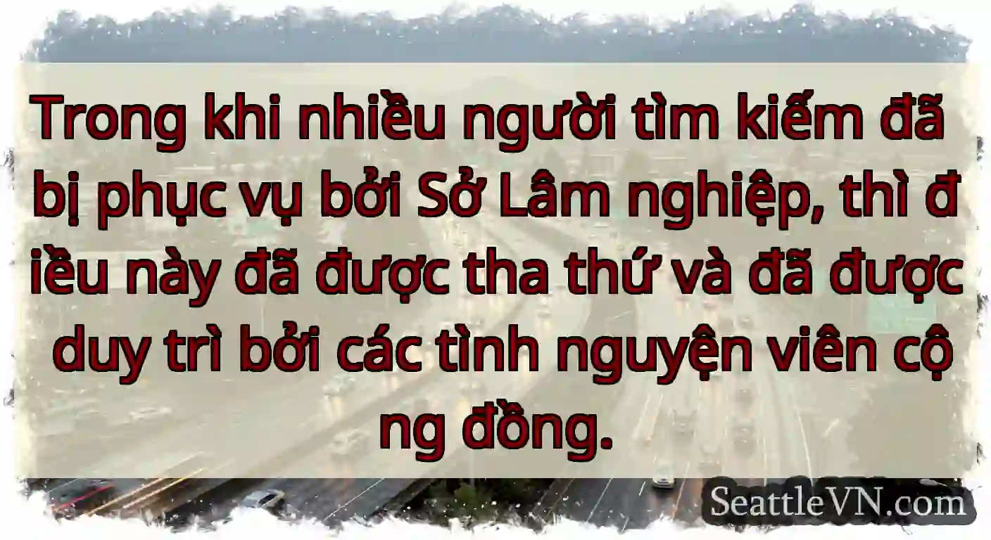 Trong khi nhiều người tìm kiếm đã bị phục vụ bởi