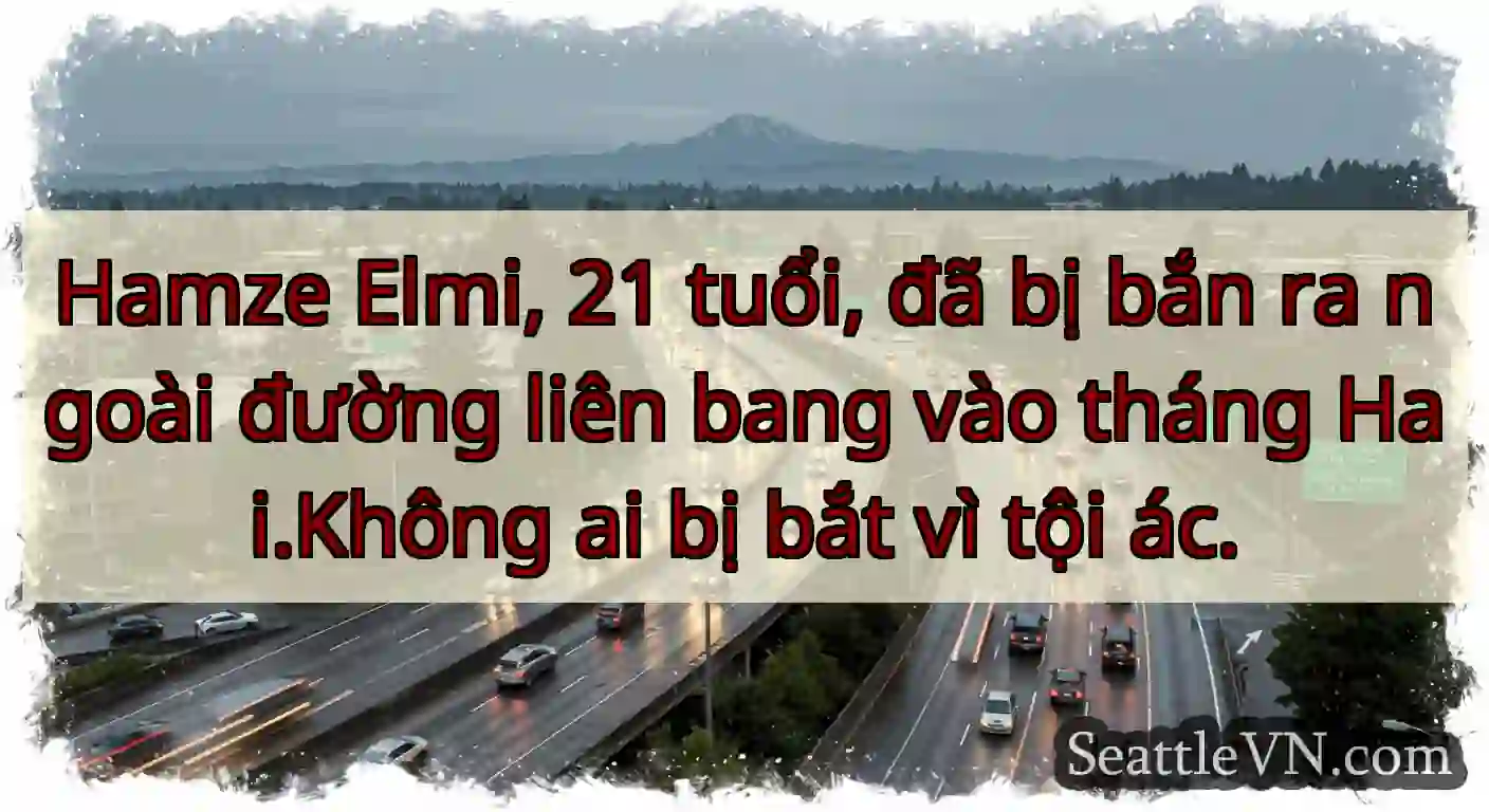 Hamze Elmi, 21 tuổi, đã bị bắn ra ngoài đường