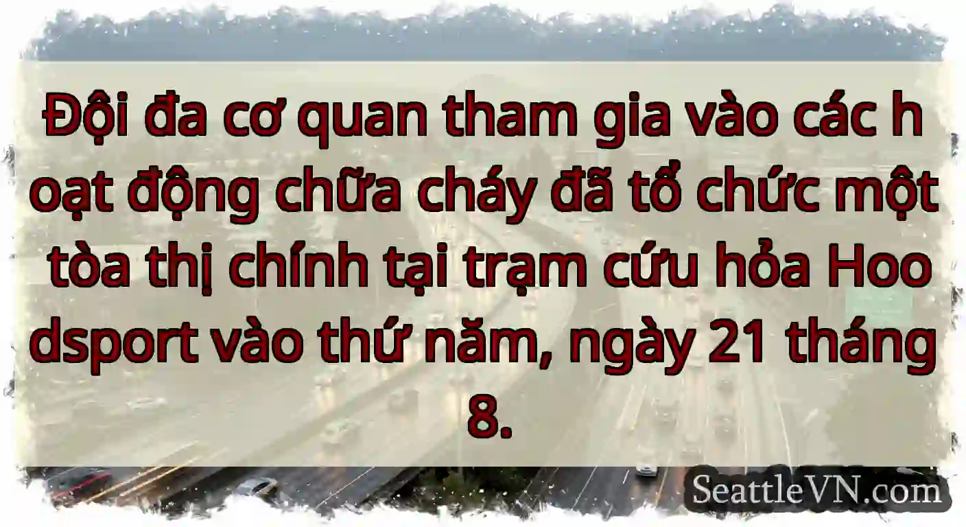 Đội đa cơ quan tham gia vào các hoạt động chữa
