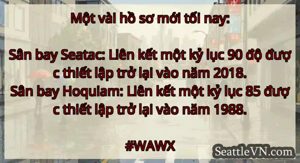 Một vài hồ sơ mới tối nay: