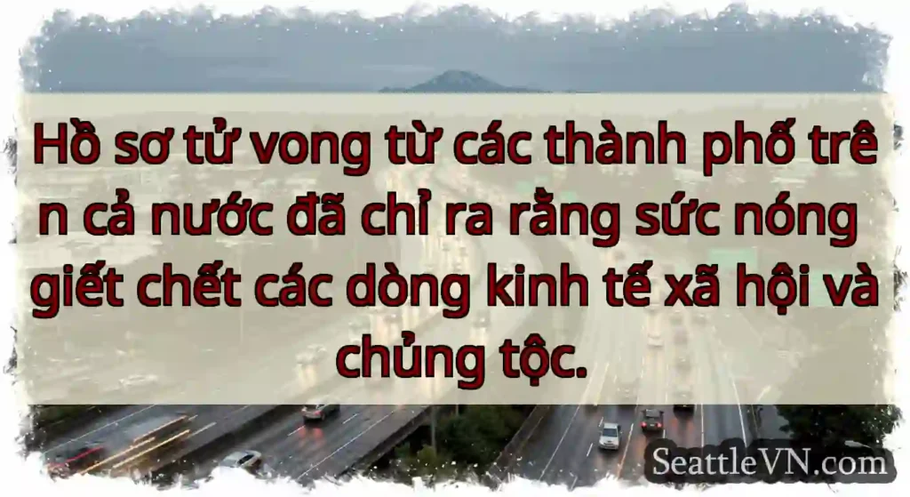 Hồ sơ tử vong từ các thành phố trên cả nước đã