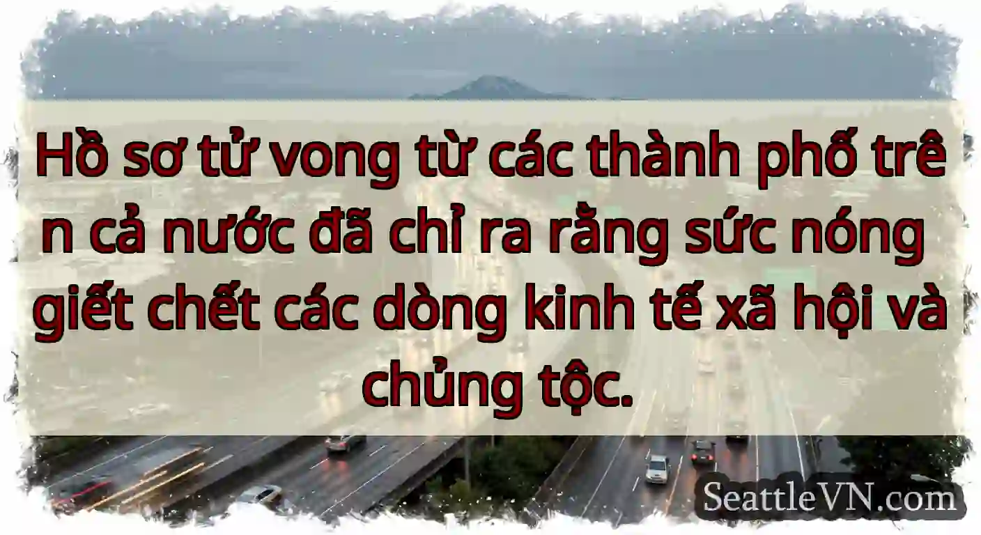 Hồ sơ tử vong từ các thành phố trên cả nước đã