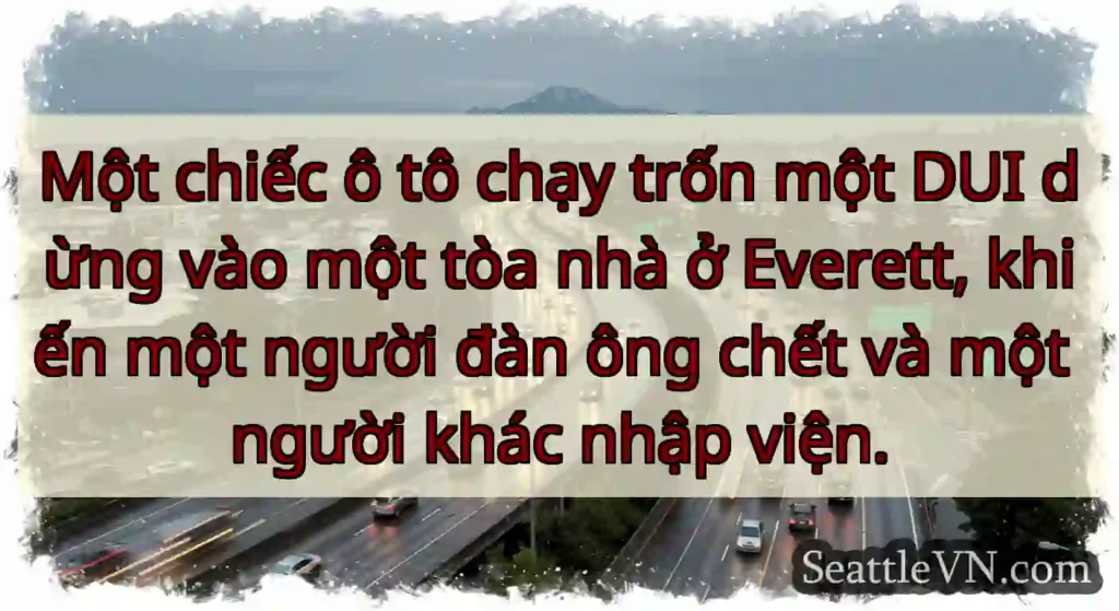 Một chiếc ô tô chạy trốn một DUI dừng vào một tòa