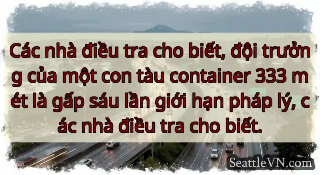 Các nhà điều tra cho biết, đội trưởng của một con
