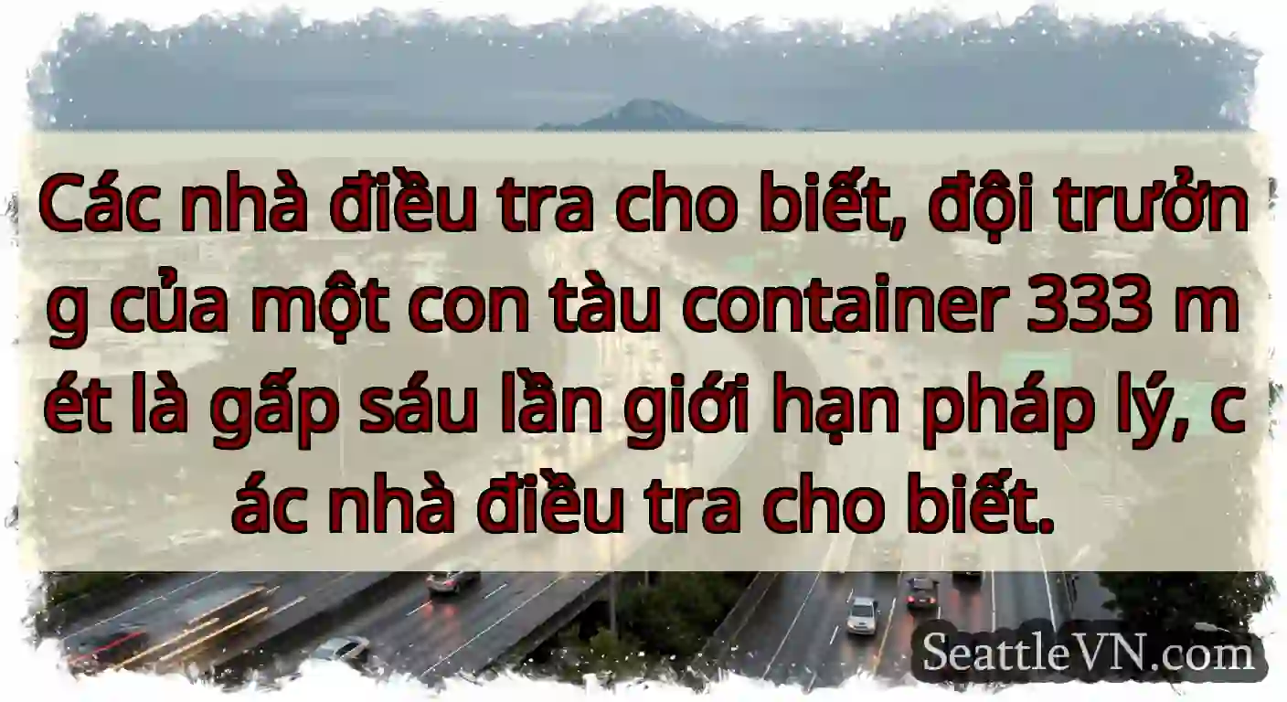 Các nhà điều tra cho biết, đội trưởng của một con