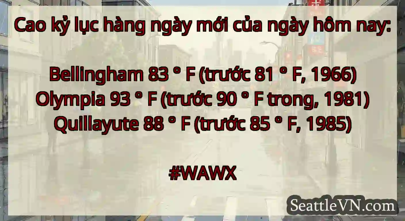 Cao kỷ lục hàng ngày mới của ngày hôm nay: