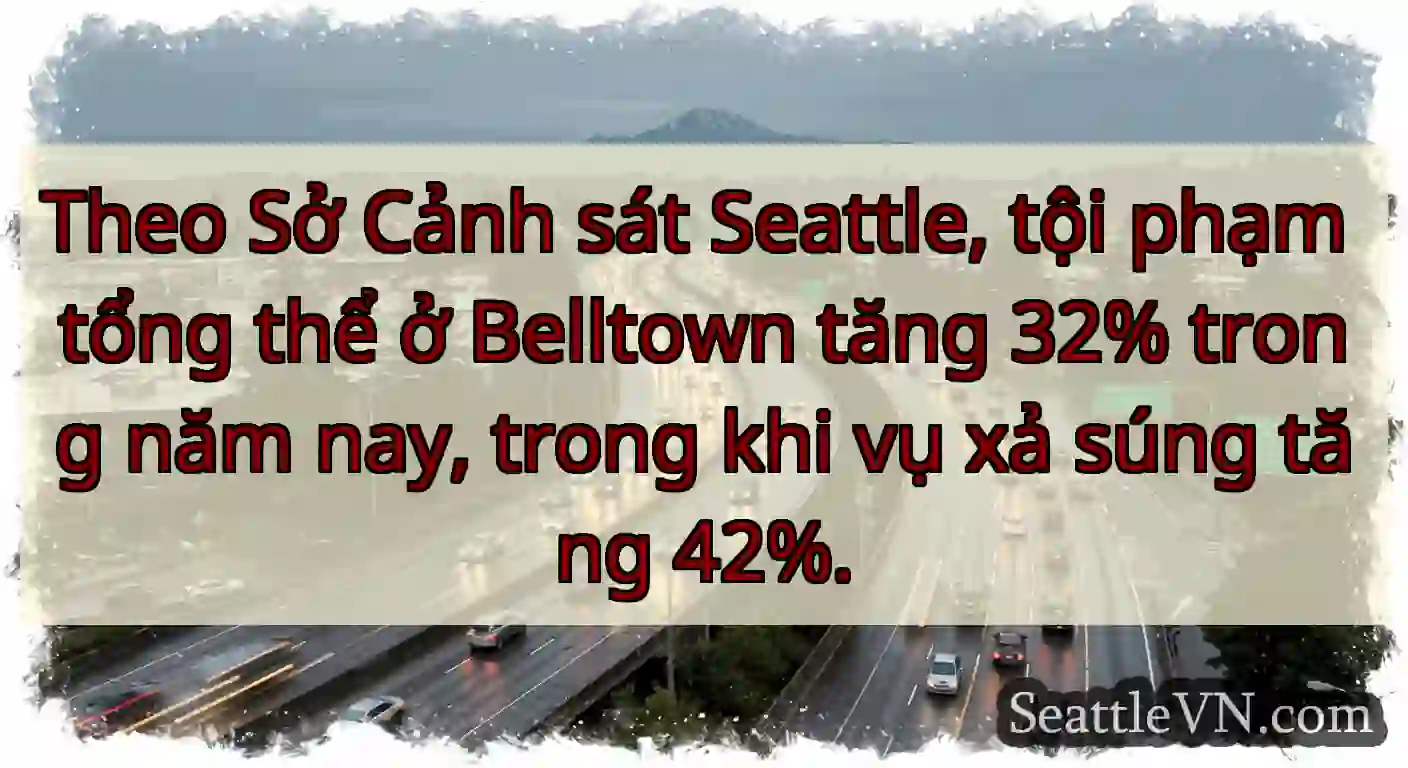 Theo Sở Cảnh sát Seattle, tội phạm tổng thể ở