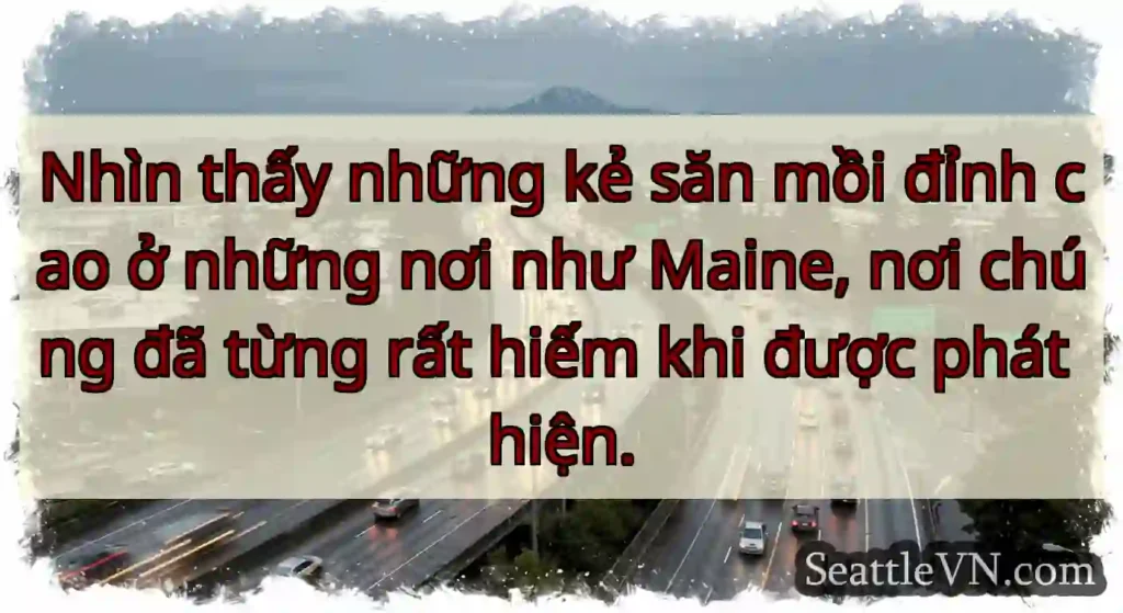 Nhìn thấy những kẻ săn mồi đỉnh cao ở những nơi