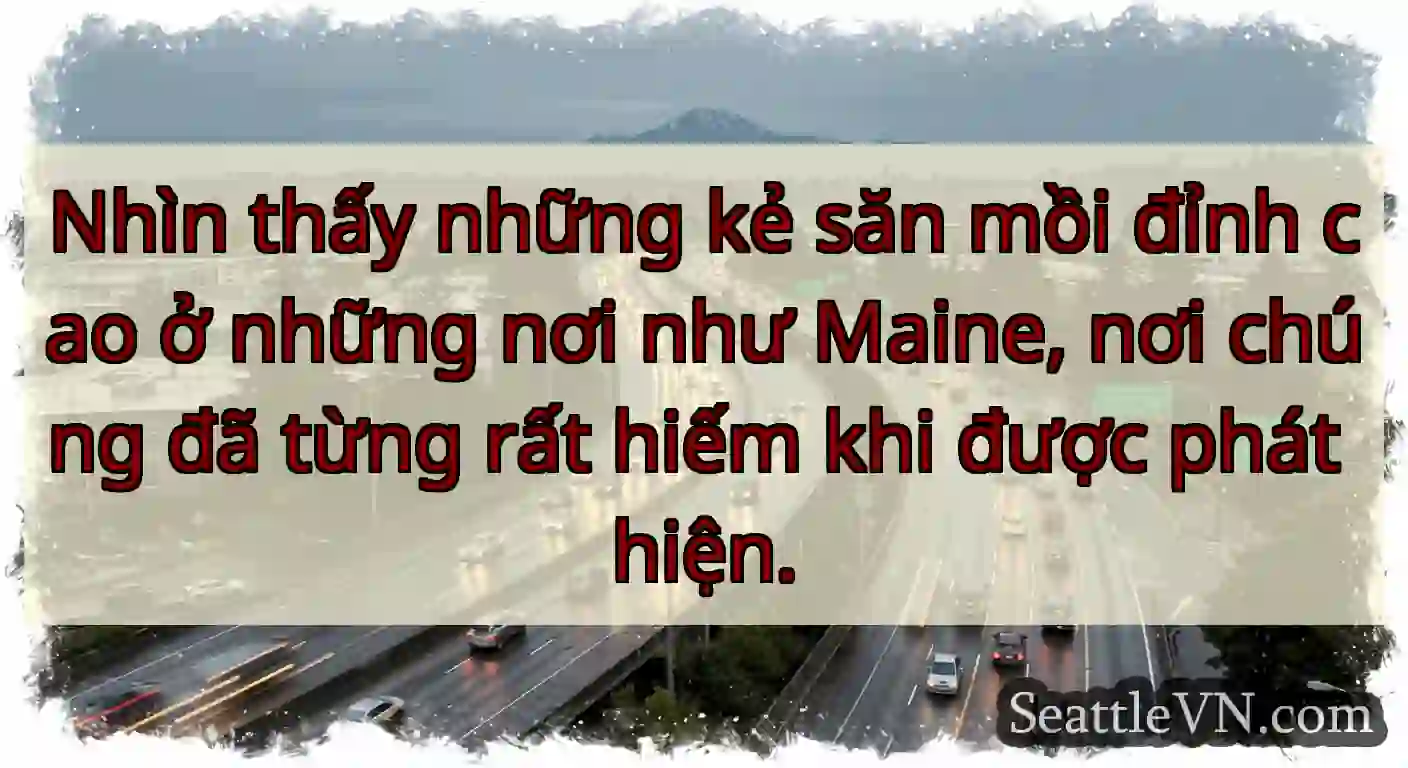 Nhìn thấy những kẻ săn mồi đỉnh cao ở những nơi