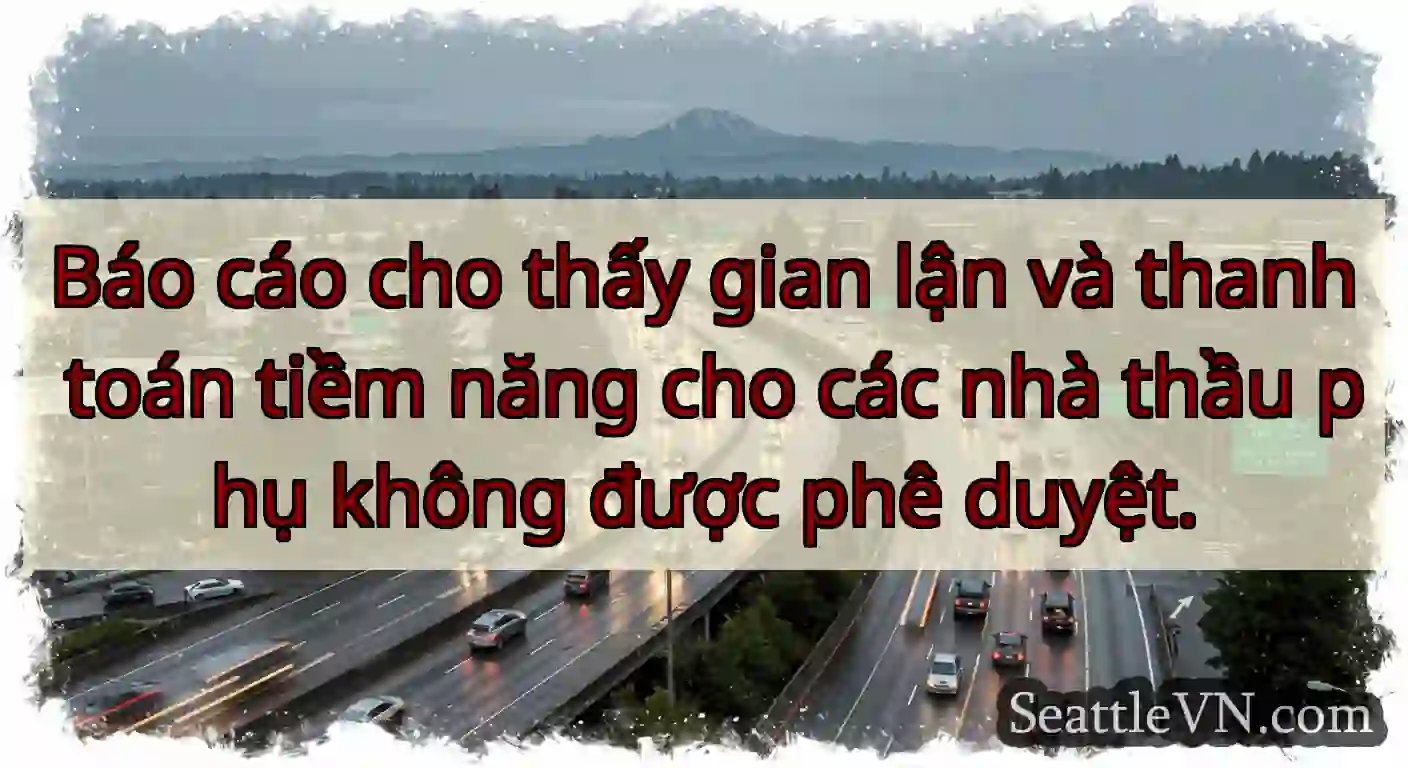Báo cáo cho thấy gian lận và thanh toán tiềm năng