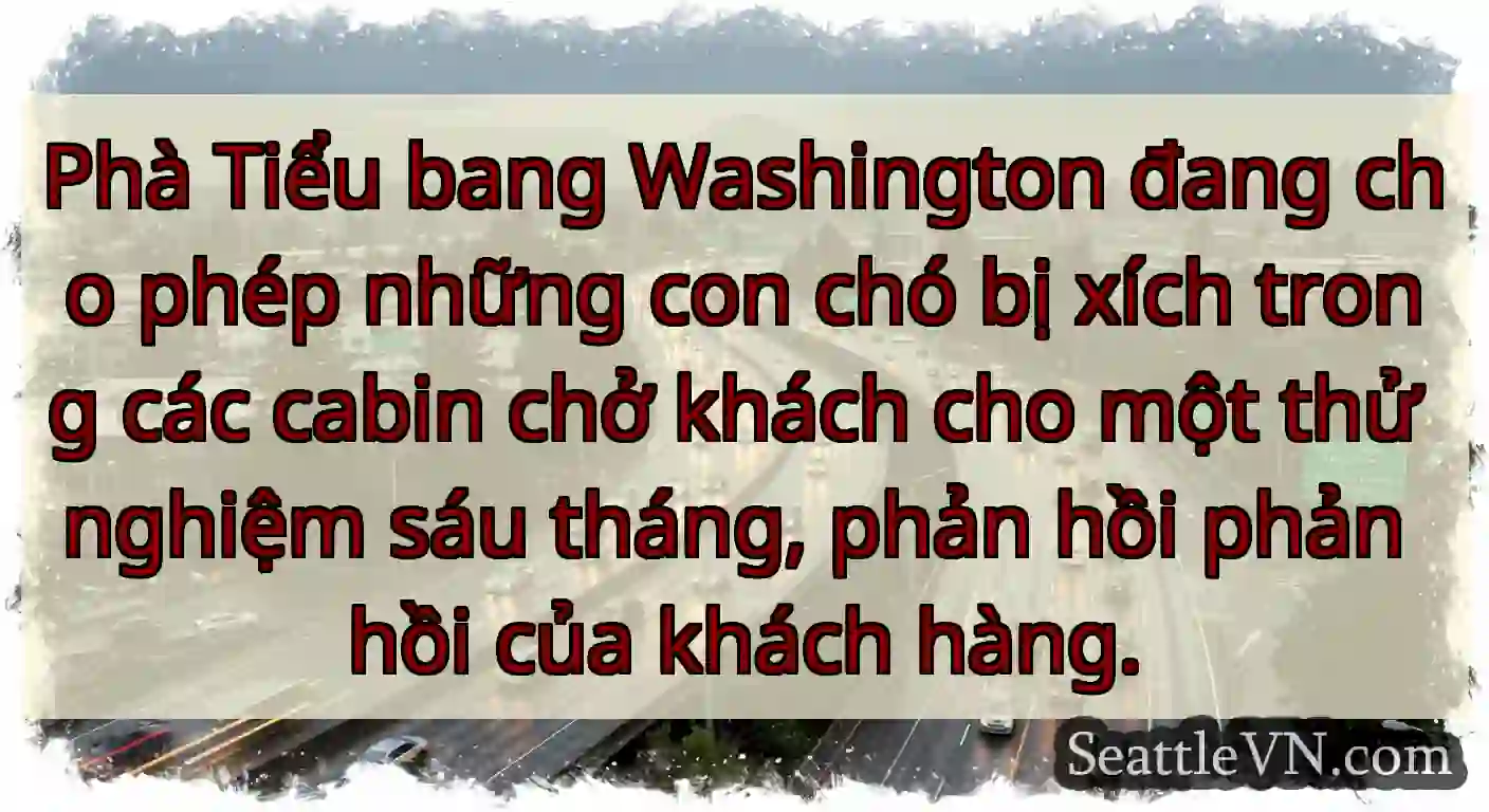 Phà Tiểu bang Washington đang cho phép những con