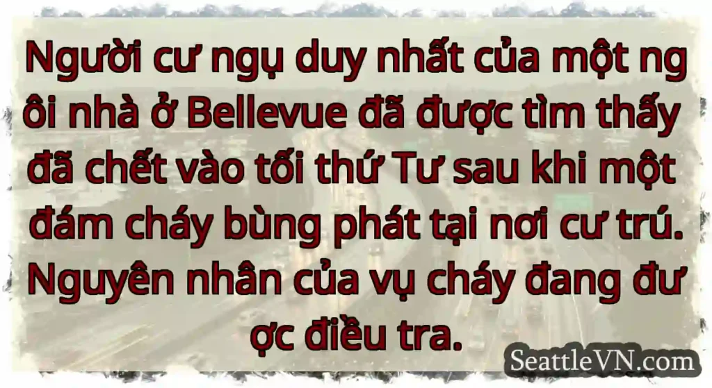 Người cư ngụ duy nhất của một ngôi nhà ở Bellevue