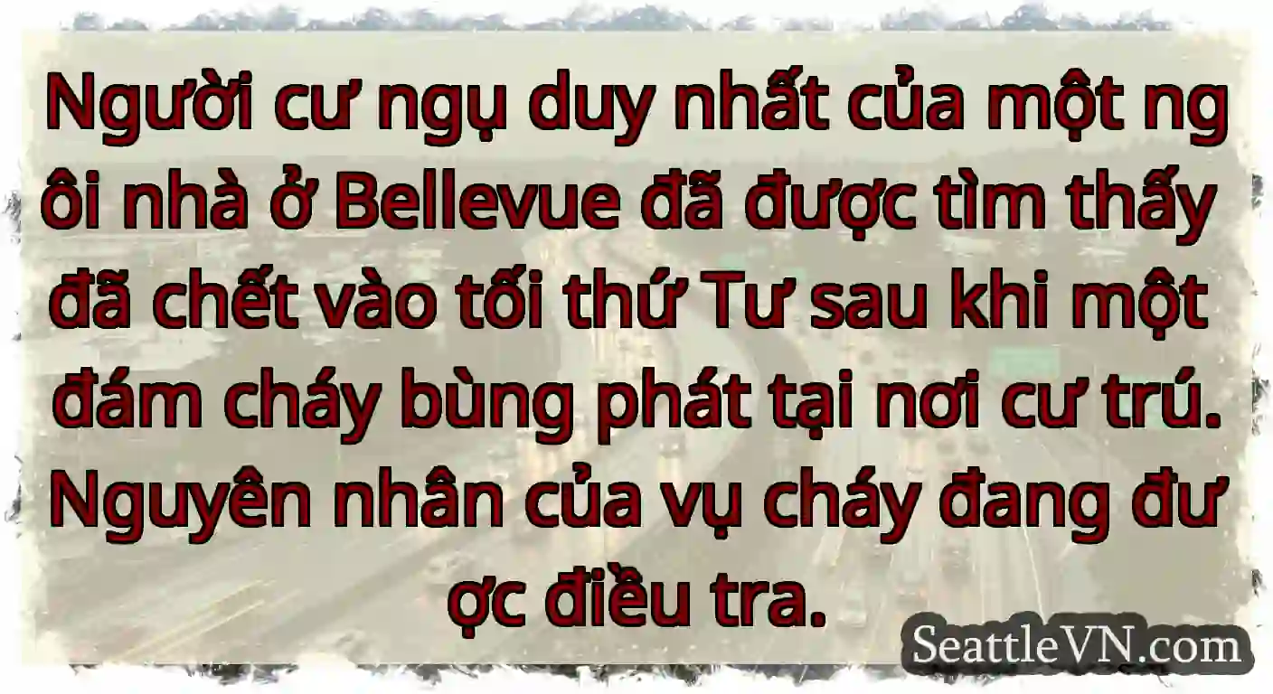 Người cư ngụ duy nhất của một ngôi nhà ở Bellevue