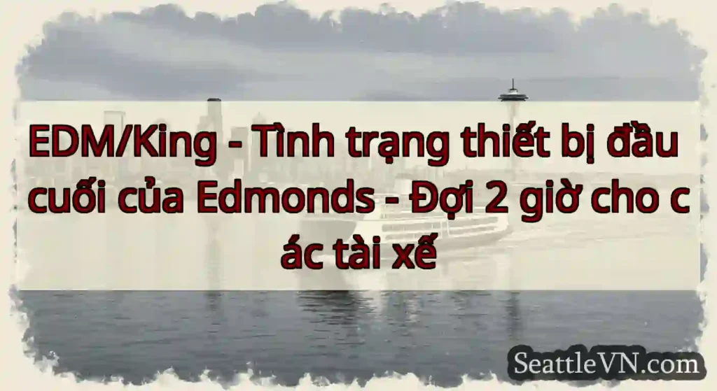 EDM/King - Tình trạng thiết bị đầu cuối của