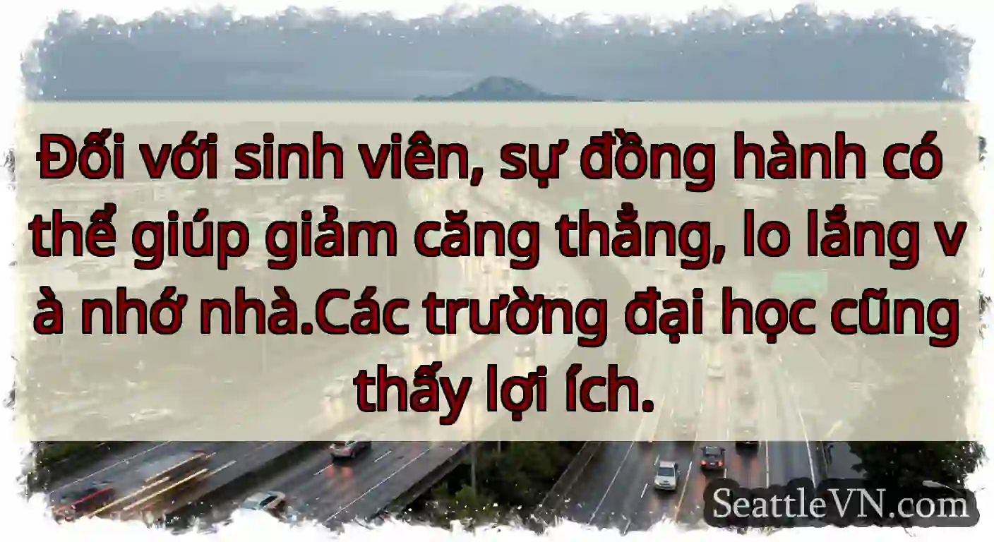 Đối với sinh viên, sự đồng hành có thể giúp giảm