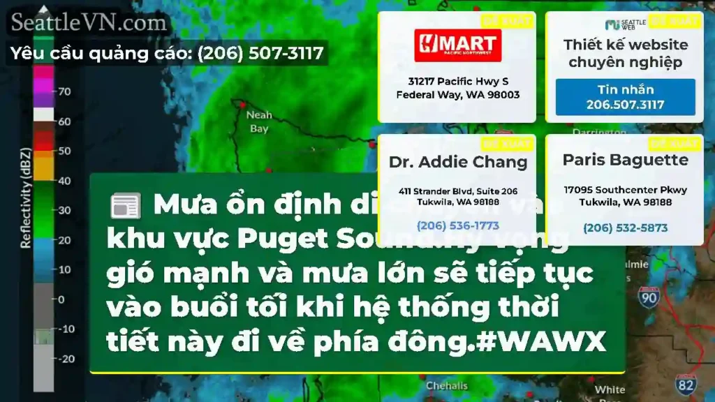 Mưa ổn định di chuyển vào khu vực Puget Sound.Hy