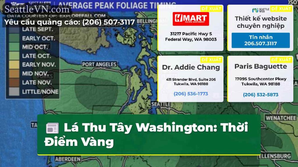 Lá Thu Tây Washington: Thời Điểm Vàng