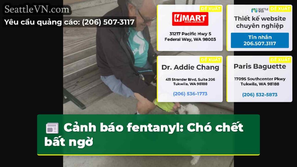 Cảnh báo fentanyl: Chó chết bất ngờ