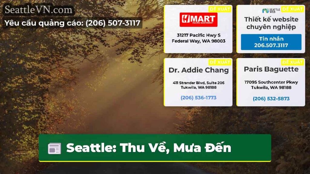Seattle: Thu Về, Mưa Đến