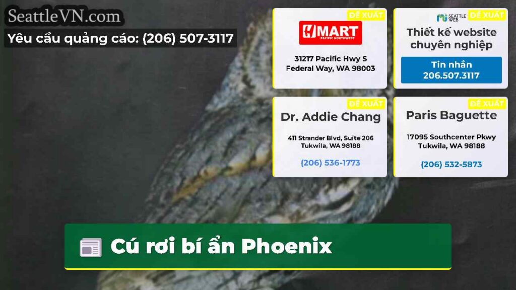 Cú rơi bí ẩn Phoenix