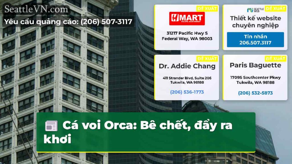 Cá voi Orca: Bê chết, đẩy ra khơi