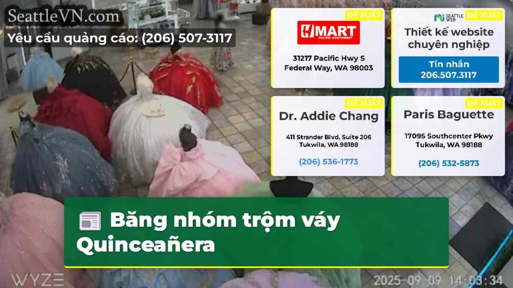 Băng nhóm trộm váy Quinceañera